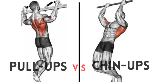 Chin Up x Pull Up: Quais músculos são trabalhados?